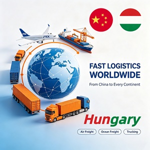 Expédition de la Chine vers la Hongrie, transitaire maritime abordable, agent maritime, transport maritime LCL, DDP, service logistique mondial porte-à-porte - Product Image 1