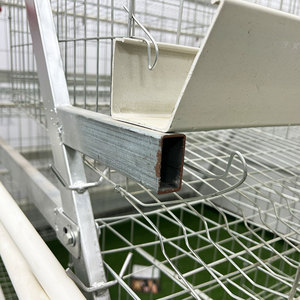 Cage à poulets de type A, 3/4 niveaux, 4 portes, <span class=keywords><strong>pour</strong></span> l'élevage de poulets et la production d'œufs, équipement moderne <span class=keywords><strong>pour</strong></span> ferme avicole, en grillage métallique économique - Product Image 4