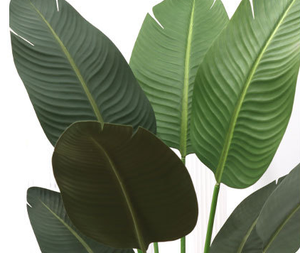 Botanique bonsaï d'intérieur en pot plantes artificielles en plastique d'intérieur - Product Image 6