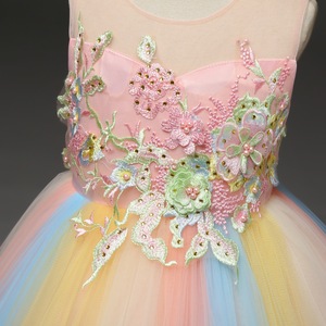 Retail Online Shopping Fashion Young Girls Embroidered Designer <strong>Wedding</strong> Summer <strong>Rainbow</strong> Colored <strong>Dresses</strong> - Product Image 4