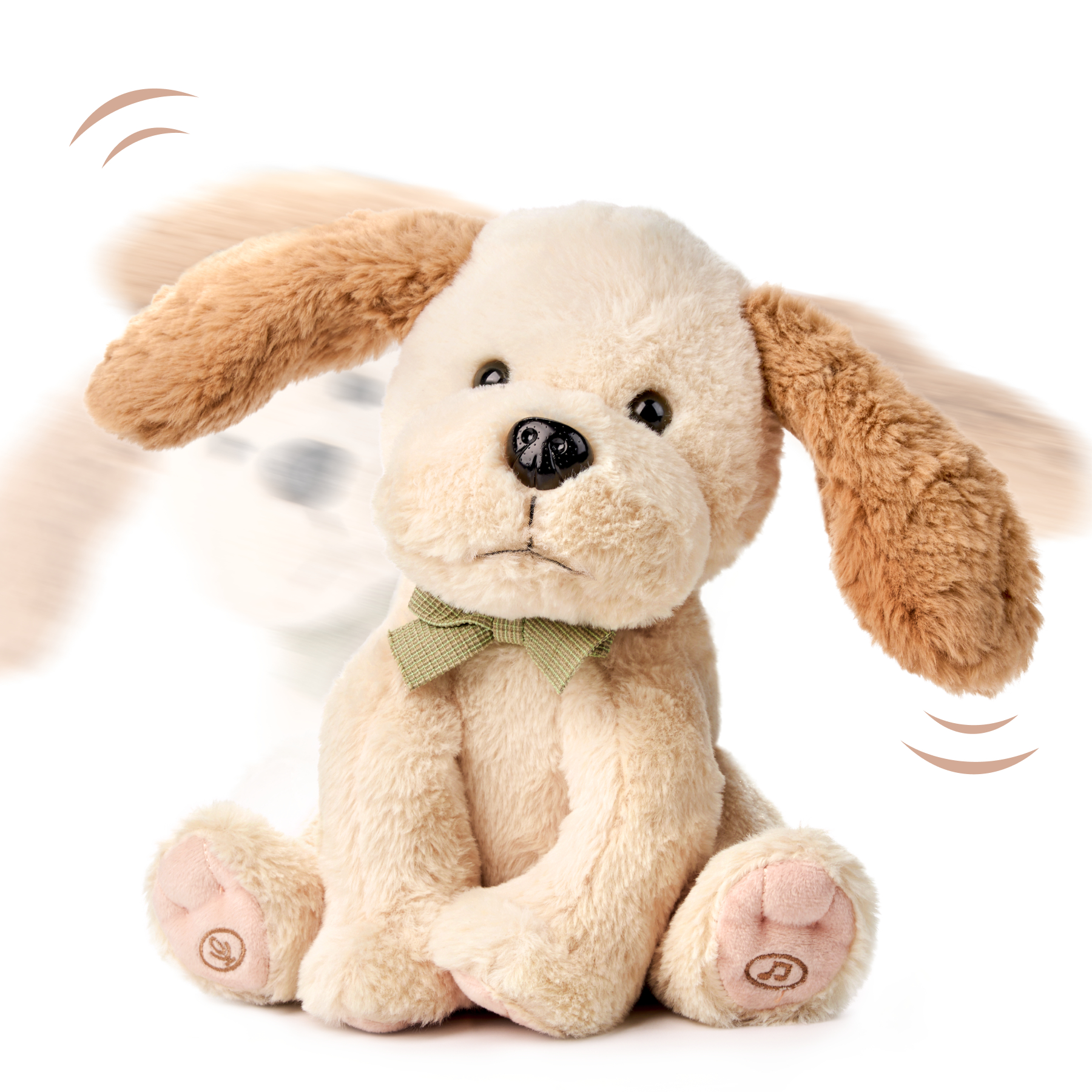 TM384 Puppy