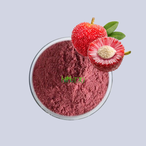 ヤマモモ（紅ヤマモモ、ワックスベリー、ベイベリー）の果実粉末 - Product Image 1