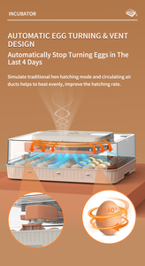 WONEGG Top vendita controllo umidità uovo di gallina incubatrice 56 uova <span class=keywords><strong>50</strong></span> uova - Product Image 6