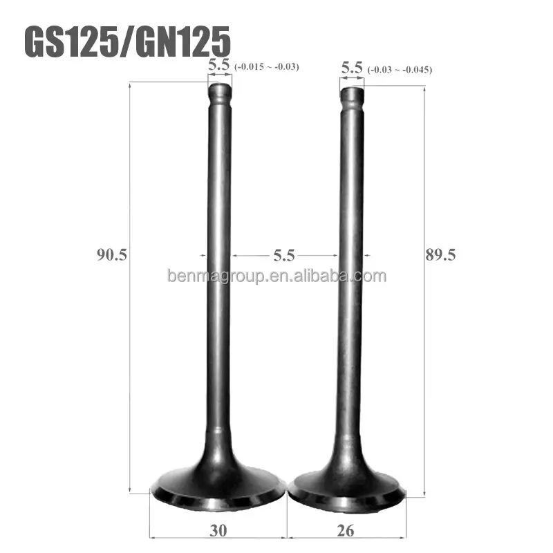 Motorcycle Engine Valves Kit Intake Exhaust Stem for Haojue Qianjiang SUZUKI GN125 GN125H GS125 GN125F QJ125 125cc