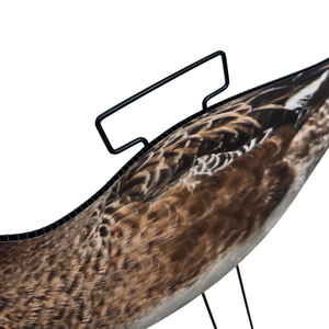 Señuelo de Caza con Diseño Realista de <span class=keywords><strong>Pato</strong></span>, Impresión UV, Corrugado, Personalizable con Flocado - Product Image 3