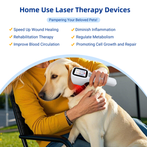 เครื่องเลเซอร์อินฟราเรดเย็น 2500 มิลลิวัตต์ สำหรับสัตว์เลี้ยงหลังการผ่าตัด บรรเทาอาการเอ็นข้อศอกฉีกขาด หมอนรองกระดูกเคลื่อน และฟื้นฟูอย่างรวดเร็ว - Product Image 4