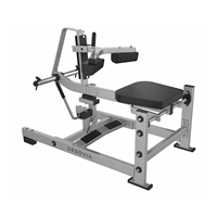 Machine à soulever les mollets à charge libre, équipement de gym commercial pour l'entraînement des jambes, musculation, équipement de force pour club de fitness