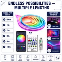 Lampu Strip LED Neon Pintar RGBIC Sinkronisasi Musik Kontrol Jarak Jauh APP 5V USB Aman IP67 3535 IC Dekorasi Ruangan Lampu Latar Gaming