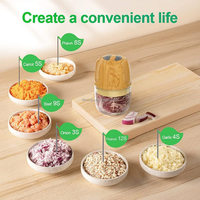 Mini hachoir électrique de cuisine, hachoir à viande portable, 250 ml, hachoir rechargeable par USB