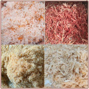 Máquina Industrial para Desmenuzar Carne de Cerdo, Res y Pollo Cocida - Product Image 6