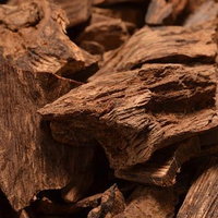 Huile de bois de santal en vrac, fraîchement récoltée à la main, matière première pour encens et parfums modernes, pour rituels intérieurs