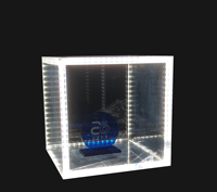 Boîte de présentation acrylique transparente lumineuse avec bande LED, rangement anti-poussière, épaisseur et couleur personnalisables, découpe sur mesure