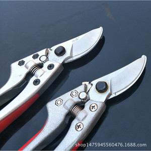 กรรไกรตัดกิ่ง Mountain Wisteria Sk5 ขนาด 8 นิ้ว แบบ Bypass สำหรับตัดกิ่งไม้ผลไม้ ด้ามจับสองสี - Product Image 4