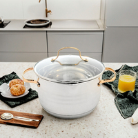 Ensemble de casseroles en acier inoxydable de haute qualité, 10 pièces, respectueux de l'environnement, pots et poêles dorés, couvercles en verre, passe au lave-vaisselle, pour la cuisine à domicile
