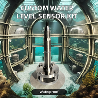 Transmetteur de niveau de liquide numérique à grande cabine personnalisé, submersible, 4-20 mA, précision de 0,5 % FS, détecteur de niveau d'eau, pièces détachées 338W