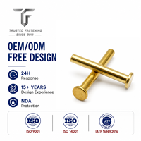 Rivets plats de précision TianFang pour les liaisons des machines de fitness, en acier au carbone avec finition zinguée, approvisionnement traçable