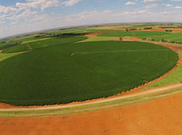 2025 nouveau arroseur d'irrigation à pivot central à prix d'usine/système d'irrigation à mouvement linéaire latéral