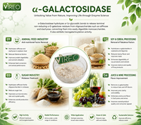 Enzyme Alpha-Galactosidase 3000 UI/g – Approvisionnement direct usine pour additifs alimentaires – Poudre d'enzyme Alpha-Galactosidase