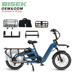 Vélo cargo électrique OEM 750W à moteur central, vélo électrique à pneus larges <span class=keywords><strong>pour</strong></span> la famille - Product Image 1
