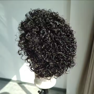 Giá sỉ tóc giả tóc người thật 100% nguyên chất, kiểu pixie ngắn xoăn, chất liệu ren HD Thụy Sĩ 13*1 full frontal - Product Image 5