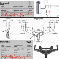 Cadre de vélo de route en carbone BXT NEW Triathlon TT Frame-219 700C, cadre de contre-la-montre en fibre de carbone avec guidon TT 321/361