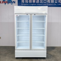 Refroidisseur d'air en acier inoxydable à température unique pour cuisine de restaurant commerciale Linghan, affichage numérique LED, température réglable