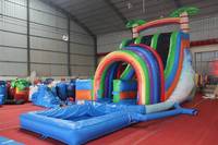 WINSUN PVC Aufblasbare Outdoor-Vergnügungsanlage Doppelbahn-Wasserrutsche mit Pool Wasserpark