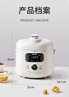 Mini Cocina Eléctrica Inteligente de Acero Inoxidable para Alimentos de Bebé, 2026, para el Hogar