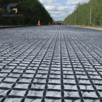 Geogrid de Poliéster Tejido por Urdimbre Reforzado para Muros de Contención y Refuerzo de Carreteras, Marca GEOROAD, Alta Resistencia a la Tracción 20-1000KN/m