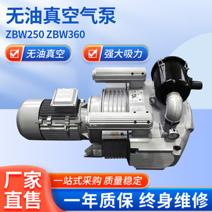 ปั๊มสุญญากาศ Isge Zbw250 แบบไม่ใช้น้ำมัน สแตนเลส เครื่องดูดแรงดันลบ 69 ลิตร/นาที 250 เมตร หัวดูดแบบไฟฟ้า - Product Image 5