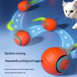 Nuovo Giocattolo Intelligente e Moderno per Cani e Gatti, Palla Elastica in Silicone di Alta Qualità, Gioco Interattivo Sportivo, Misure Personalizzabili, Confezione in Cartone - Product Image 1