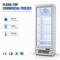 Congélateur vertical à porte vitrée 115V, sans givre, avec contrôle numérique de la température, pour la vente de crèmes glacées à -24°C