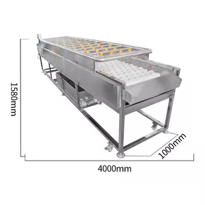 Máquina de lavado de alta presión con cepillo de rodillos para limpieza de zanahorias, patatas y frutas - Product Image 1