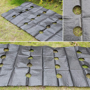 Toile de paillage noire en PP à longue durée de vie, résistante aux UV, tissée, avec taille personnalisée pour pelouses de jardin et pépinières - Product Image 2