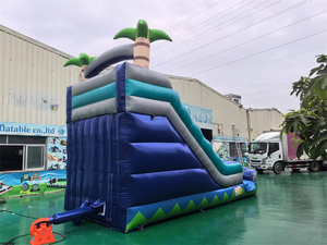 Trượt Nước Bơm Hơi Bán Chạy Nhất Trượt Hồ Bơi Đã Qua Sử Dụng Trượt Nước Thương Mại Đã Qua Sử Dụng - Product Image 5