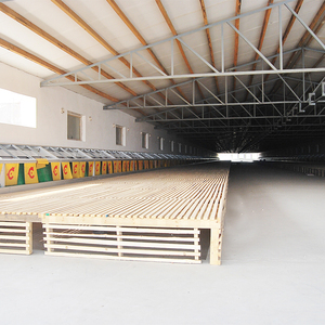 BOLONG Équipement de collecte d'œufs de <span class=keywords><strong>poule</strong></span> en liberté poulailler nichoir de poulet - Product Image 5