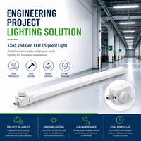 Luminaire linéaire LED Tri-proof personnalisé en usine, IP65 IK08, connectable, compatible capteur, pour applications industrielles européennes, 20-60W, avec gradation DALI