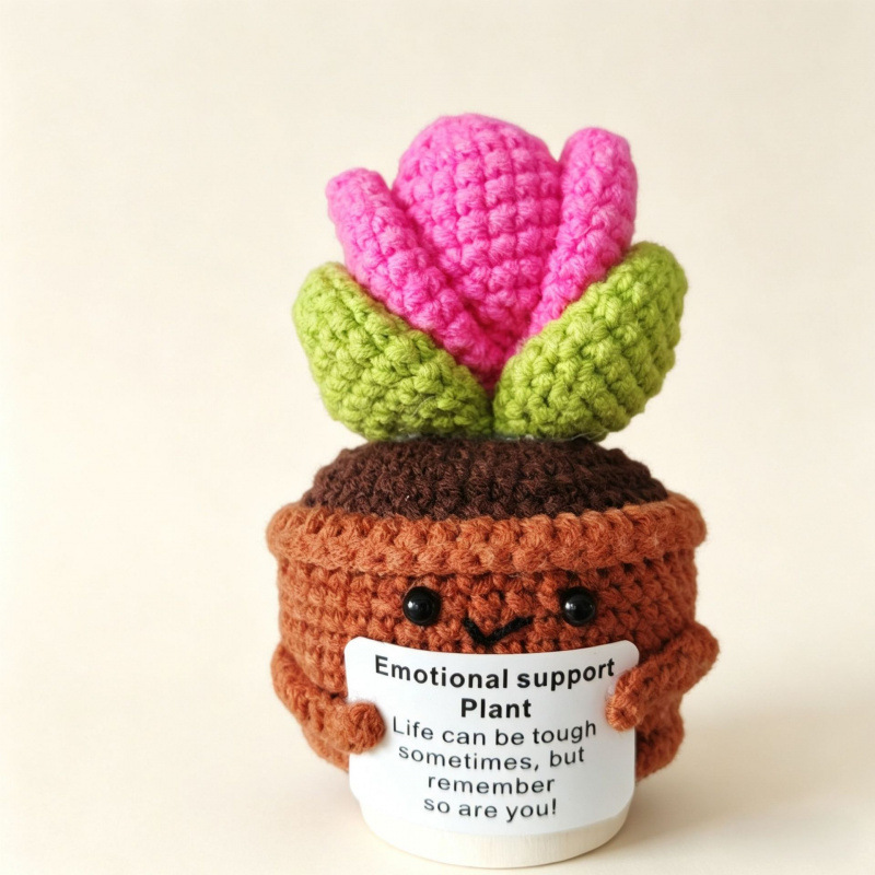 Planta de cactus en maceta 4