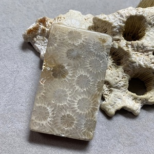 Colgante Esférico de Piedra de Coral Natural Pulido a Mano de Alta Calidad al por Mayor, Feng Shui para Decoración del Hogar y Regalos de San Valentín - Product Image 5