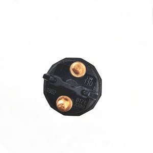 Common Rail Fuel Injector 0445120110 Diesel Engine Replacement Part - Product Image 4