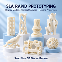 Service d'impression 3D SLA personnalisé, modèles en résine photopolymère, sculptures miniatures et prototypes rapides d'enveloppes