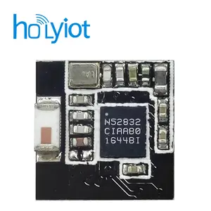 FCC CE TinyBLE nRF52832 Chip BT Modul für BLE Mesh