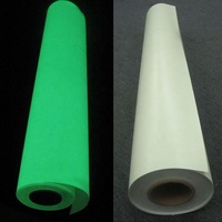 Lámina de Vinilo Acrílico Autoadhesiva Luminiscente de PVC, Imprimible, que Brilla en la Oscuridad, Película Fotoluminiscente