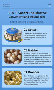 เครื่องฟักไข่18ฟองสำหรับฟักไข่เครื่องฟักไข่อัตโนมัติแบบเต็มรูปแบบ - Product Image 6