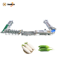 Automatische fruit- en groentewas- en sorteermachine, verwerkingslijn voor radijsjes en groenten.
