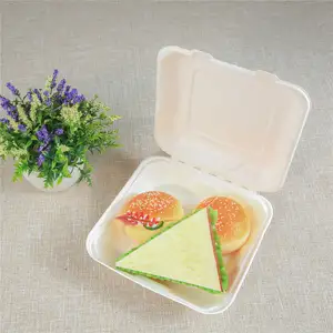 Cardboard Boxes Bento Box Disposable Food Biodegradable Liquid Containers