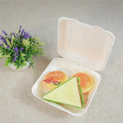 Biodegradable disposable food clamshell / 3 5 compartments food box / tray