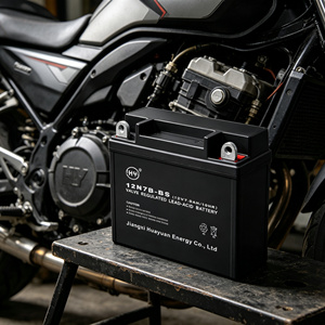 HY <span class=keywords><strong>12N7B</strong></span> Versiegelte Motorradbatterie 12V 7,0AH Aufladbar 1000 Zyklen für Elektrowerkzeuge Anlasser Blei-Säure-Batterie - Product Image 4