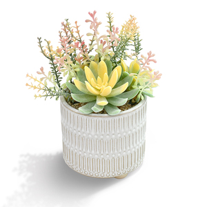 Piante Grasse Artificiali <span class=keywords><strong>in</strong></span> <span class=keywords><strong>Vaso</strong></span> - Decorazione Moderna ed Estetica per Casa, Pasqua, Primavera e Matrimoni - Product Image 1