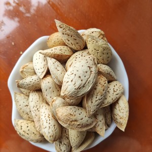 Almendro crudo con Concha, sin agrietar - Product Image 4